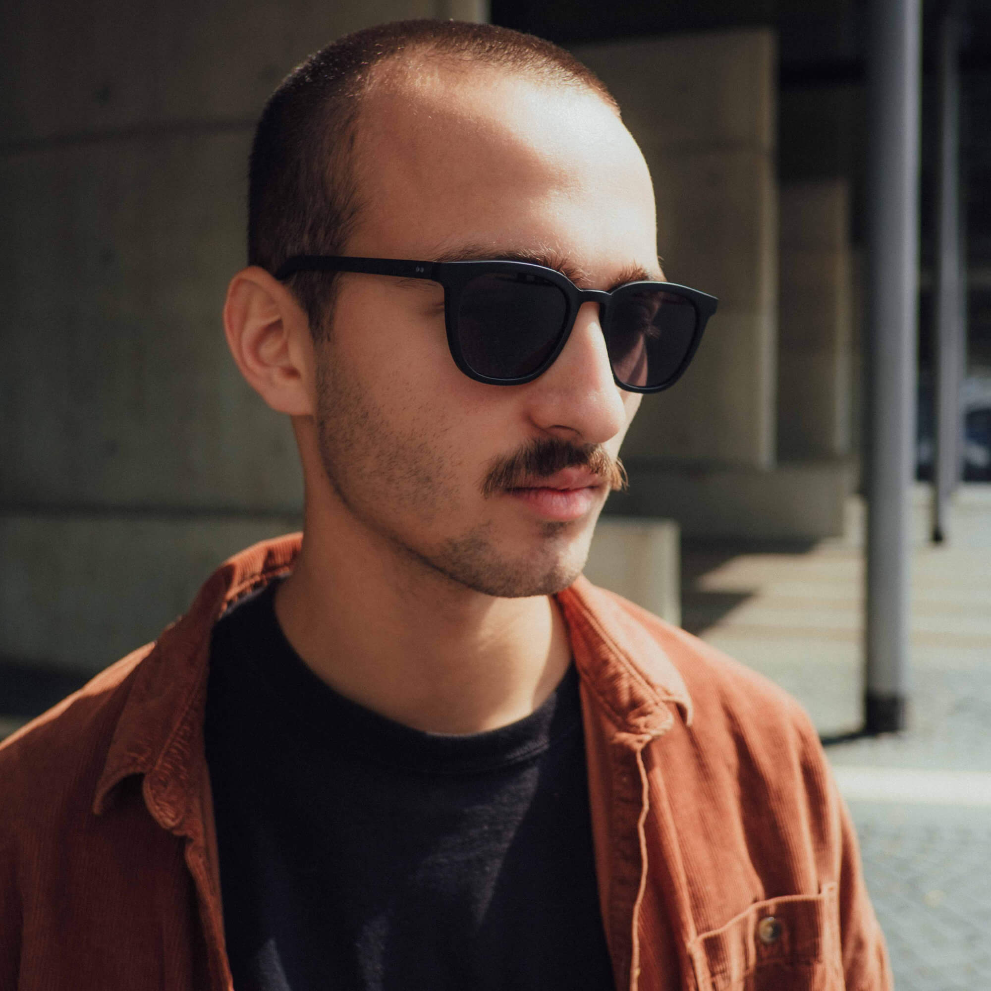 Wilson: Schwarzes Eichenholz I Polarized
