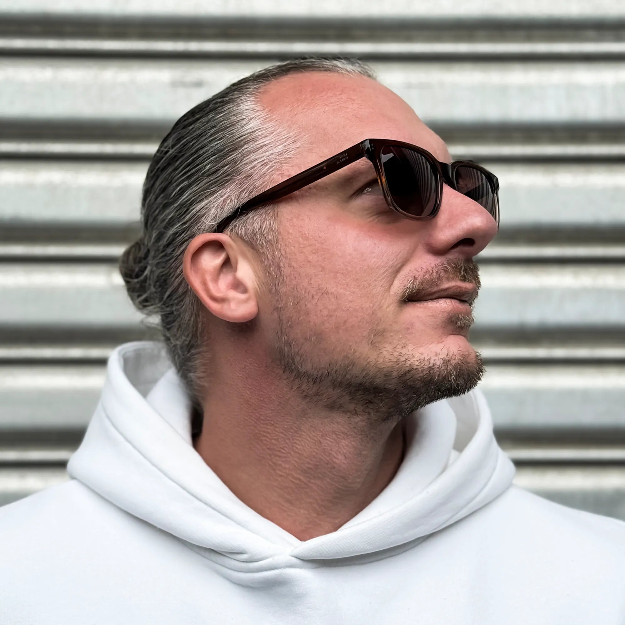 Savanna: Brown Gradient