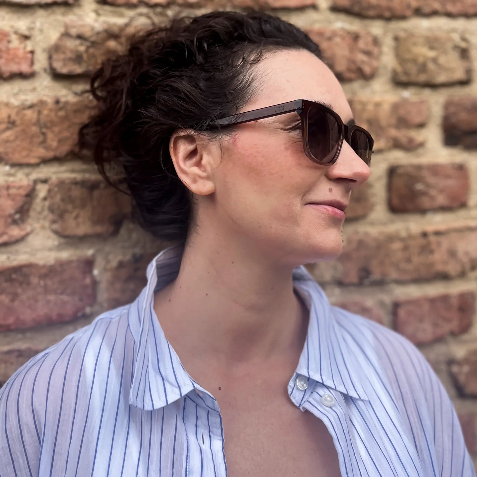 Savanna: Brown Gradient