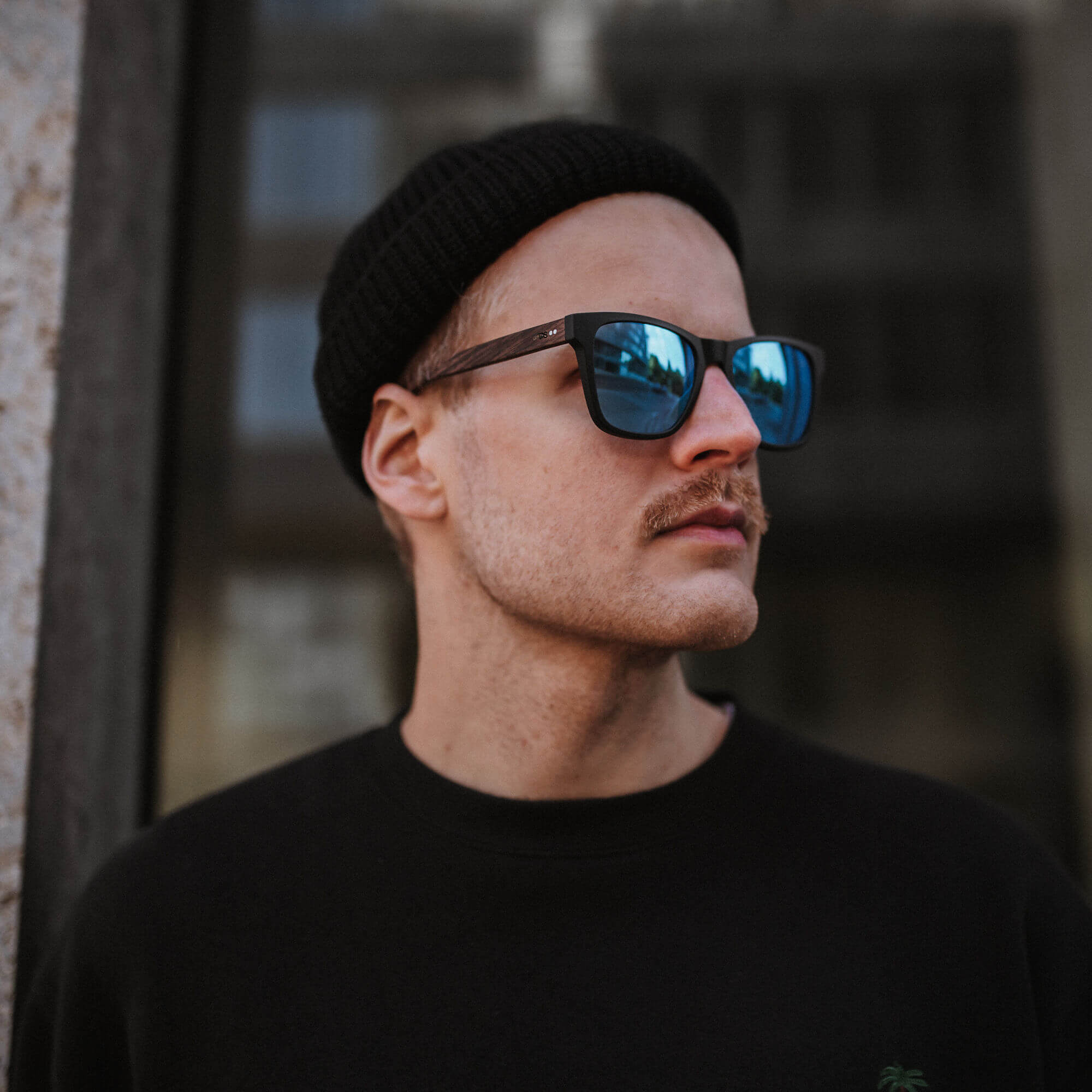 Clever Hans: Walnussholz I Polarized
