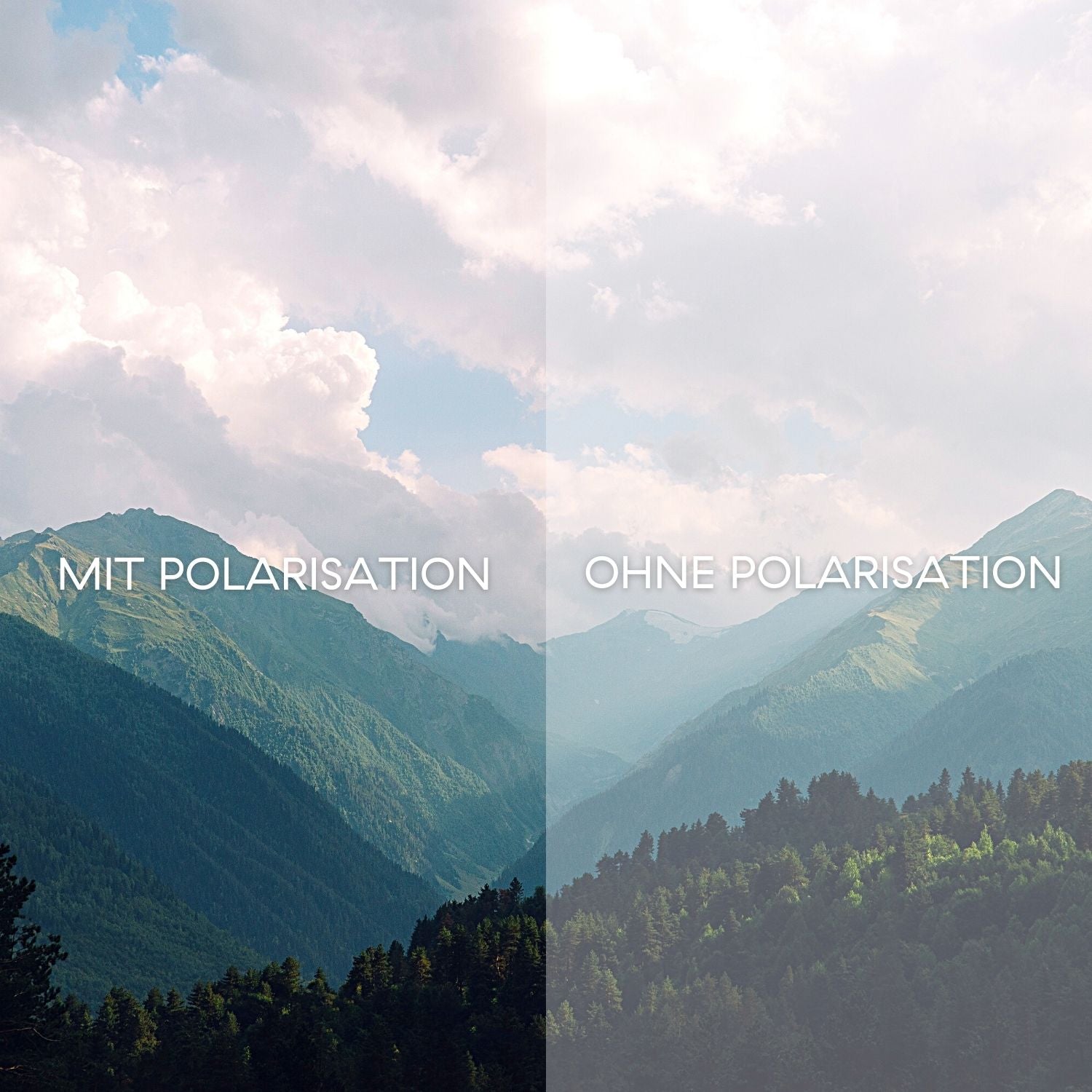 The Nightingale 2.0: Walnussholz I Polarized