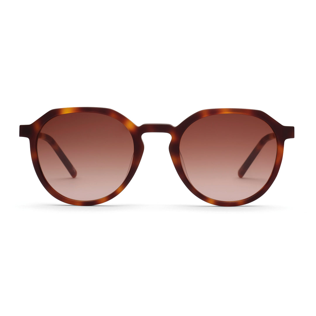 Fini: Havana - Brown Gradient