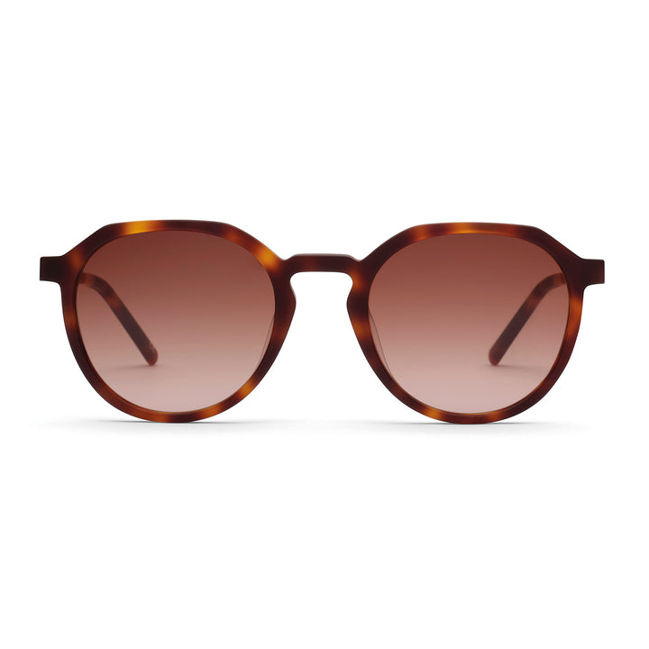 Fini: Havana - Brown Gradient