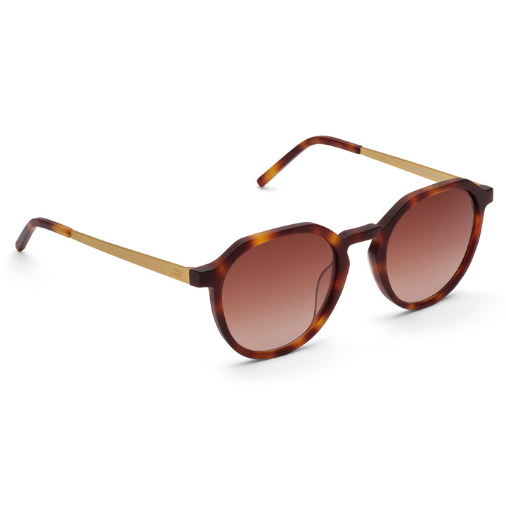 Fini: Havana - Brown Gradient