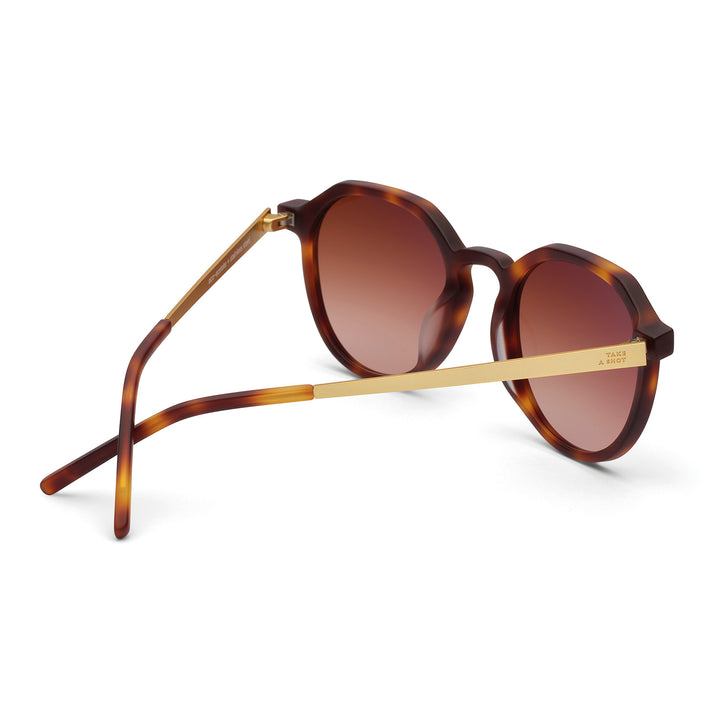 Fini: Havana - Brown Gradient