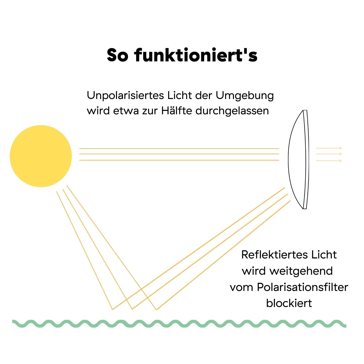 The Butterfly 2.0: Walnussholz I Polarized